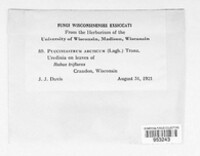 Image Associated With the Occurence